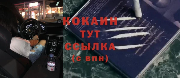 ешки Медногорск
