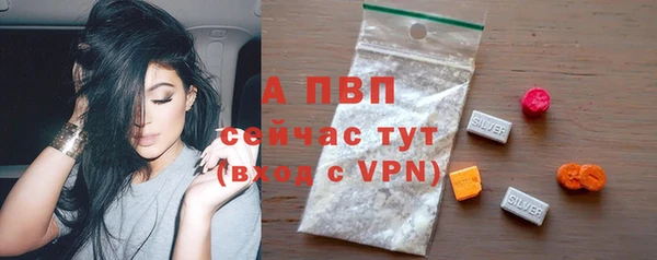 прущие крисы Медвежьегорск