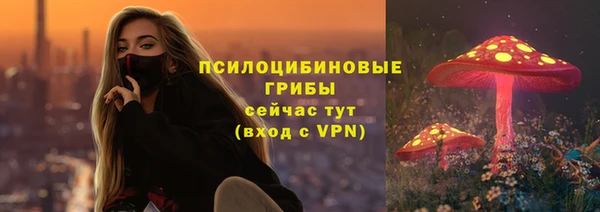 прущие крисы Медвежьегорск