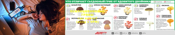 apvp Мегион
