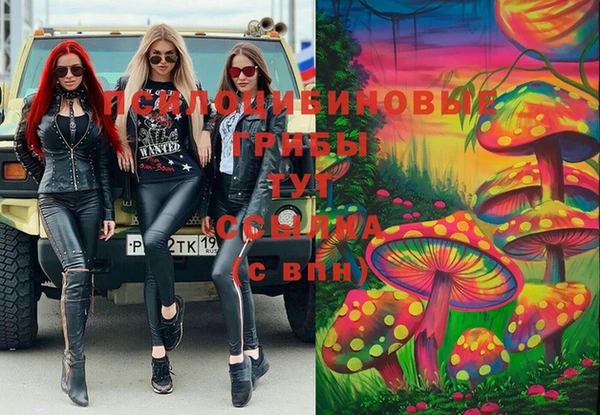 прущие крисы Медвежьегорск