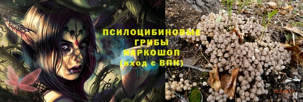 гидра Абинск