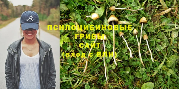 ешки Медногорск