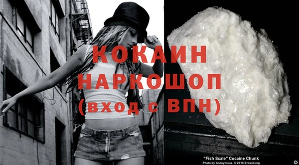 прущие крисы Медвежьегорск