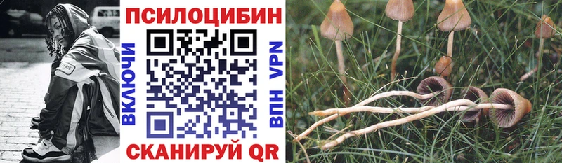 где продают   Химки  MEGA   Псилоцибиновые грибы прущие грибы 